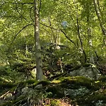 Blauvogel 19 *