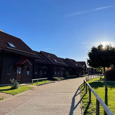 Blauvogel 19 Dom wakacyjny Hasselfelde