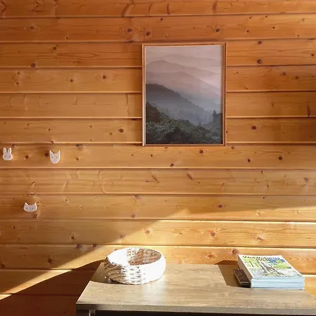 Blauvogel 19 האסלפלדה