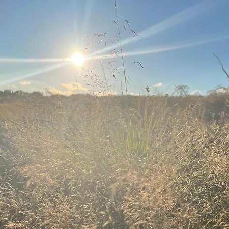 Blauvogel 19 בית נופש *